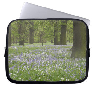 Capa Para Notebook Campainhas azuis e Carvalhos na Primavera, Little