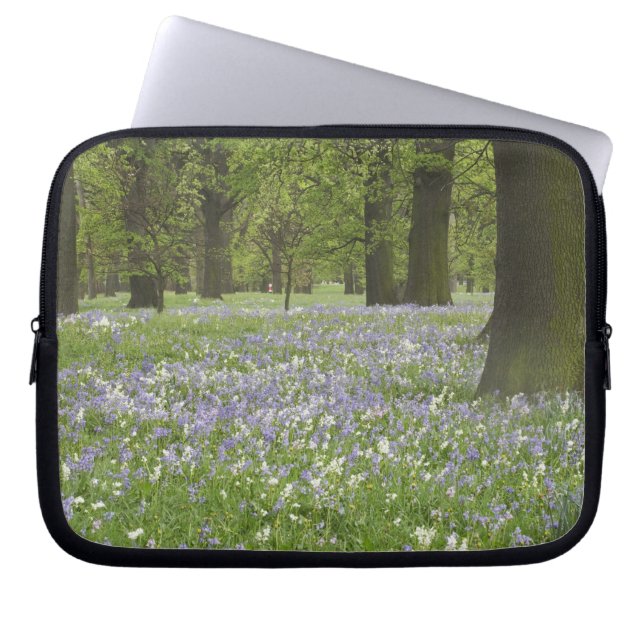 Capa Para Notebook Campainhas azuis e Carvalhos na Primavera, Little  (Frente)