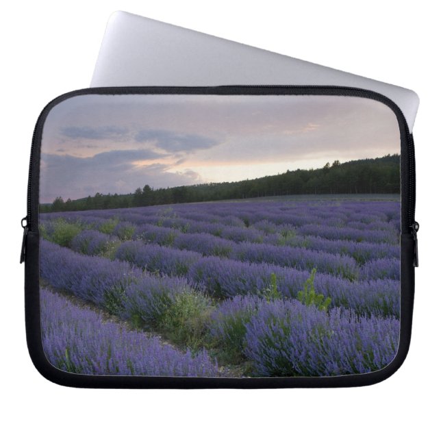 Capa Para Notebook Campo da lavanda no por do sol (Frente)