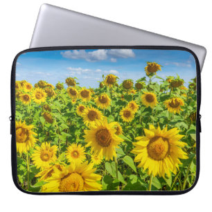 Capa Para Notebook Campo de girassol, dia ensolarado de verão.