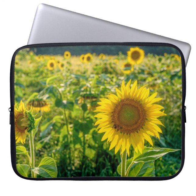 Capa Para Notebook Campo de girassol ouro (Frente)