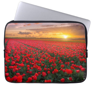 Capa Para Notebook Campos da tulipa no por do sol nos Países Baixos
