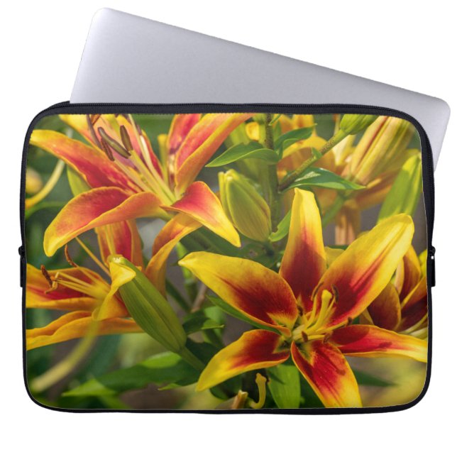 Capa Para Notebook Canadense Daylily, Impressão de Fotografia Laranja (Frente)