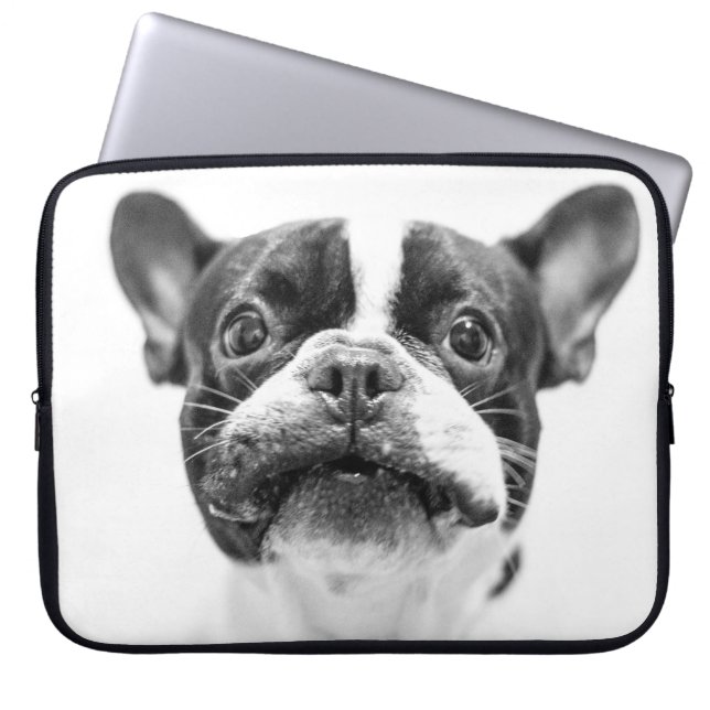 Capa Para Notebook cão (Frente)