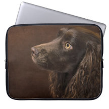 Cão De Cabelo Castanho