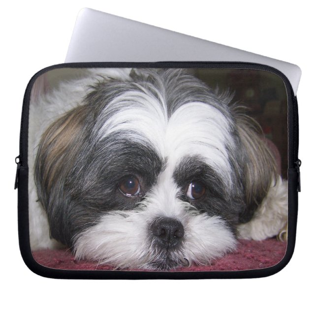 Capa Para Notebook Cão de Shih Tzu (Frente)