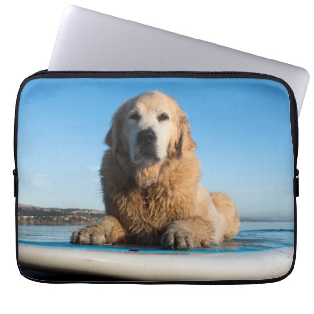 Capa Para Notebook Cão do golden retriever que coloca em um conselho (Frente)