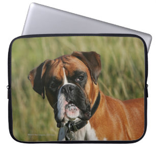 Capa Para Notebook Cão do pugilista que olha fixamente na câmera