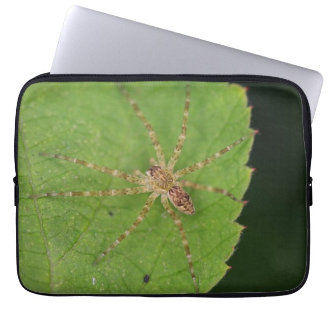Capa Para Notebook Capinha de Laptop Aranha (Frente)
