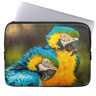 Capa Para Notebook Capinha de Laptop Arara Azul e Dourada Aves Trop