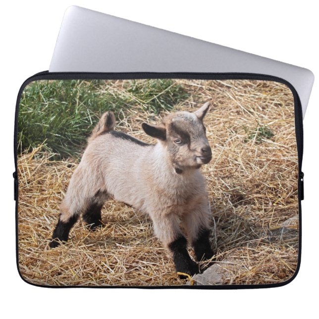 Capa Para Notebook Capinha de Laptop Infantil Fofa (Frente)