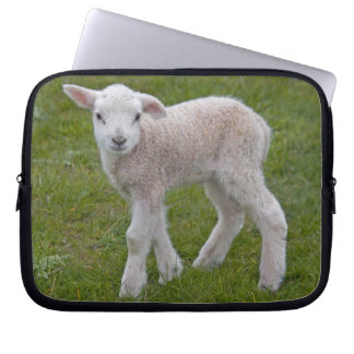 Capa Para Notebook Capinha de Laptop Little Lamb