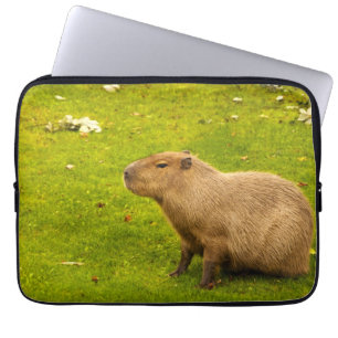 Capa Para Notebook Capivara