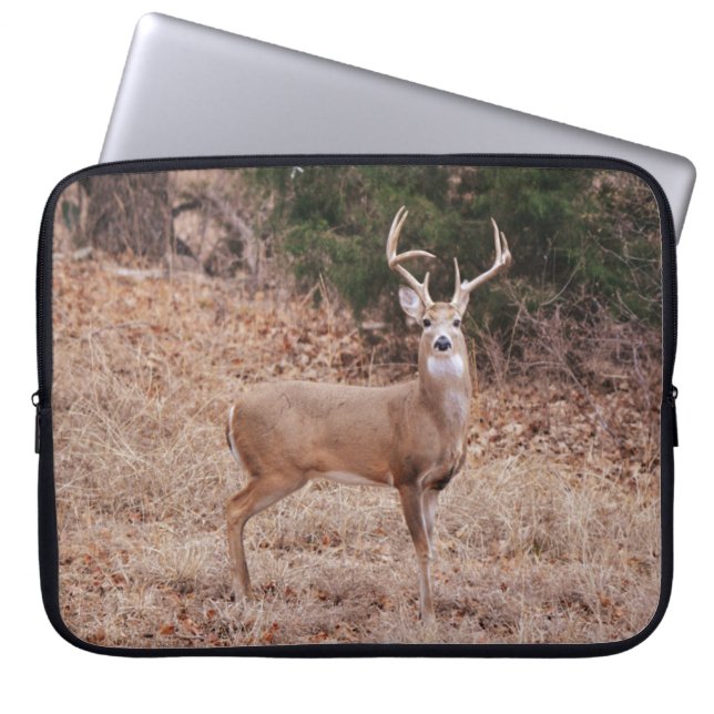Capa Para Notebook Capuz de Laptop Cervo Grande Chifres Natureza (Frente)