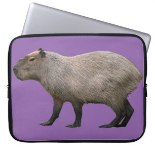 Capa Para Notebook Capybara
