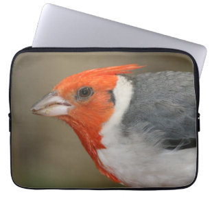 Capa Para Notebook Cardeal com crista vermelho