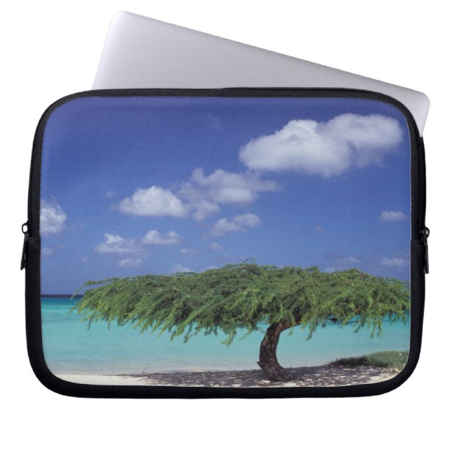 Capa Para Notebook Caribe, Aruba. Praia Eagle (Frente)