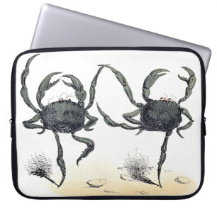 Capa Para Notebook Caricatura