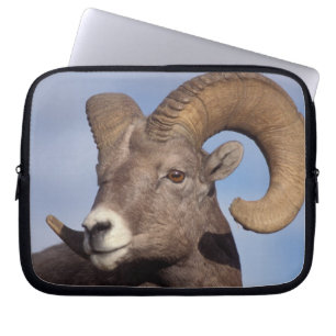 Capa Para Notebook carneiro bighorn, carneiro das montanhas, Ovis can