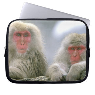 Capa Para Notebook Casais de Macacos da Neve, Macaco Japonês,