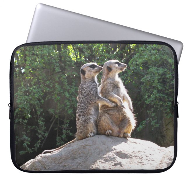 Capa Para Notebook Casal Meerkat bonito no Laptop Rock (Frente)