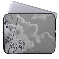 caso ipad