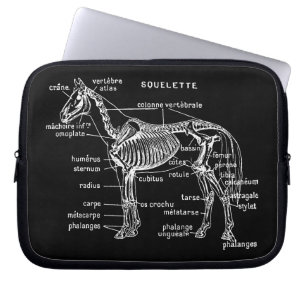 Capa Para Notebook Cavalo