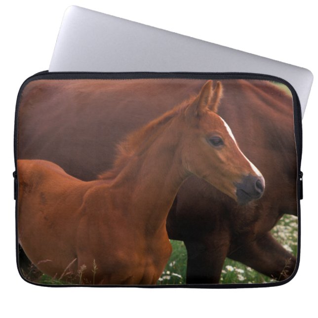 Capa Para Notebook Cavalo Árabe Perto da Mãe (Frente)