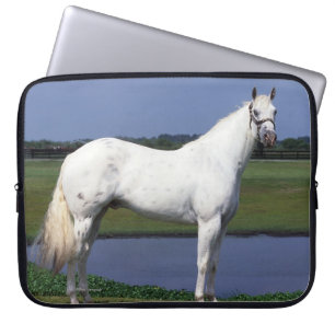 Capa Para Notebook Cavalo do Appaloosa
