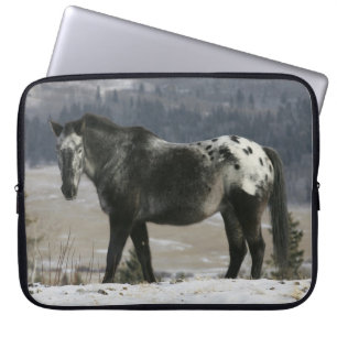 Capa Para Notebook Cavalo do Appaloosa na neve