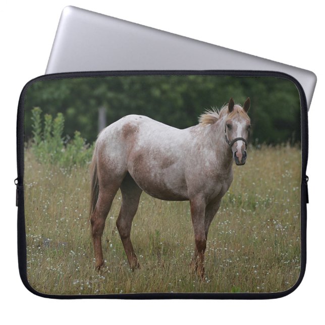 Capa Para Notebook Cavalo do Appaloosa que está na grama (Frente)