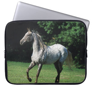 Capa Para Notebook Cavalo do Appaloosa que funciona 2