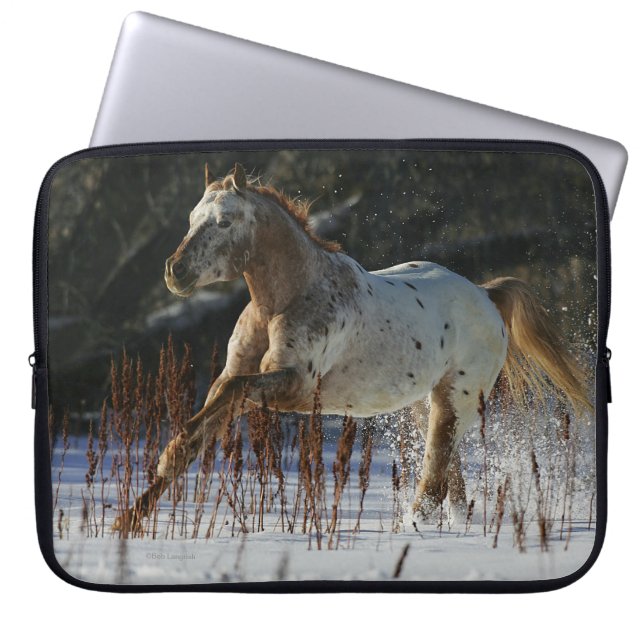 Capa Para Notebook Cavalo do Appaloosa que funciona na neve (Frente)