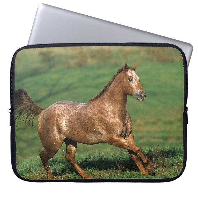 Capa Para Notebook Cavalo do Appaloosa que funciona no campo gramíneo (Frente)
