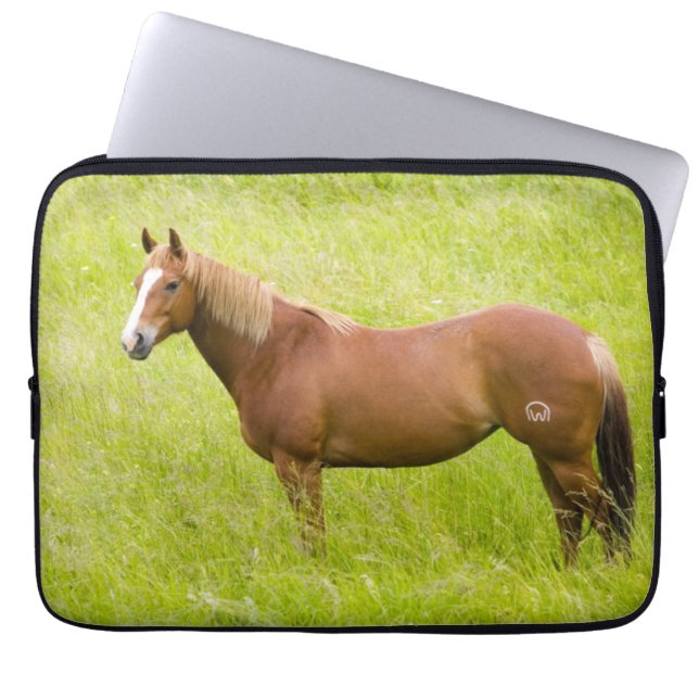 Capa Para Notebook Cavalo no Campo de Primavera (Frente)