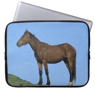 Capa Para Notebook Cavalo selvagem do mustang