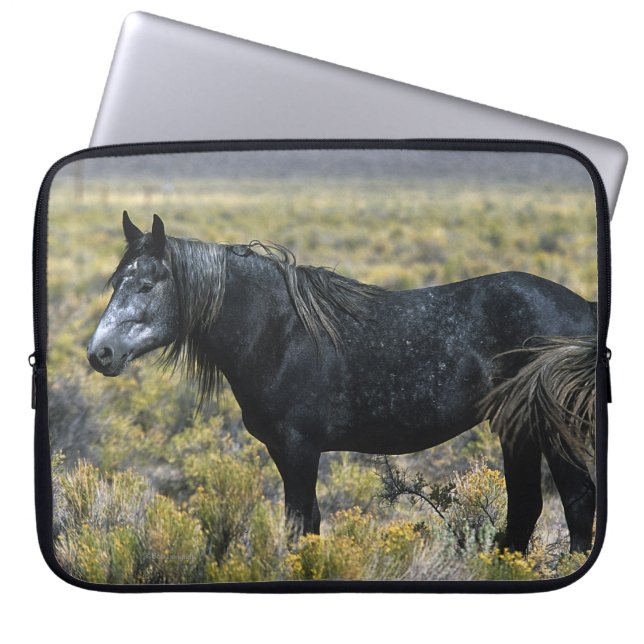 Capa Para Notebook Cavalo selvagem do mustang no deserto (Frente)