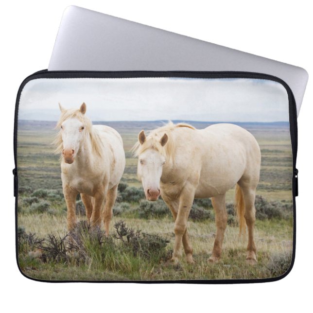 Capa Para Notebook Cavalo Selvagem Pastando na Priaire de Cody (Frente)