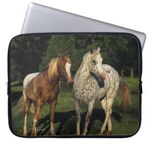 Capa Para Notebook Cavalos do Appaloosa
