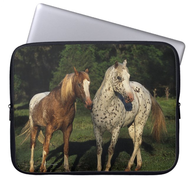 Capa Para Notebook Cavalos do Appaloosa (Frente)