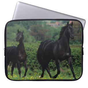 Capa Para Notebook Cavalos do puro-sangue no campo de flor