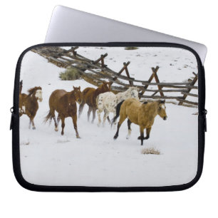 Capa Para Notebook Cavalos em neve