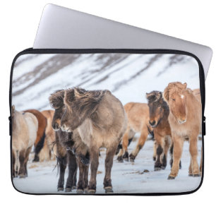 Capa Para Notebook Cavalos islandeses em pastagem de inverno perto de