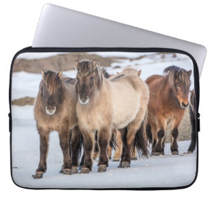 Capa Para Notebook Cavalos Islandeses no Inverno Perto de Hofn, Islân