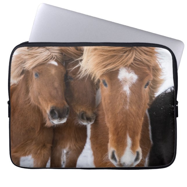 Capa Para Notebook Cavalos islandeses se aninham, Islândia (Frente)