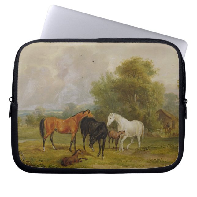 Capa Para Notebook Cavalos que pastam: Éguas e potros em um campo (Frente)
