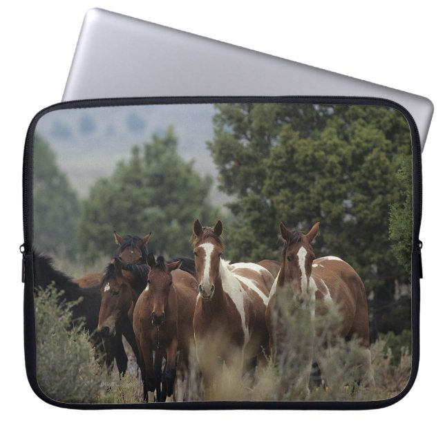 Capa Para Notebook Cavalos selvagens 2 do mustang (Frente)