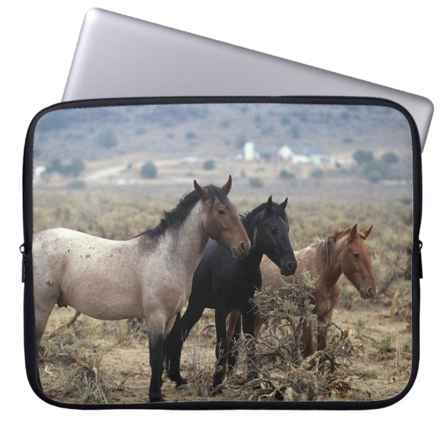 Capa Para Notebook Cavalos selvagens 5 do mustang (Frente)