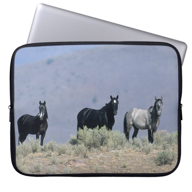 Capa Para Notebook Cavalos selvagens do mustang no deserto 3 (Frente)