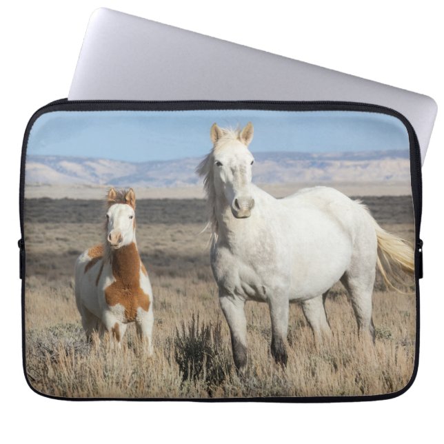 Capa Para Notebook Cavalos Selvagens em Casa na Bacia de Sandwash (Frente)